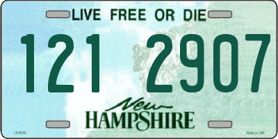NH license plate 1212907