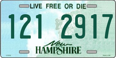 NH license plate 1212917