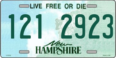 NH license plate 1212923