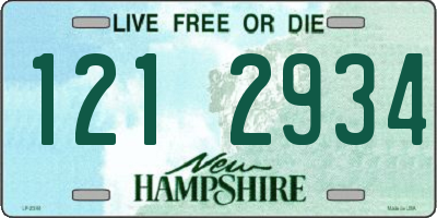 NH license plate 1212934