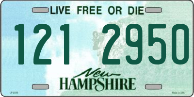 NH license plate 1212950