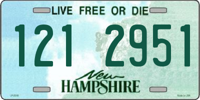 NH license plate 1212951
