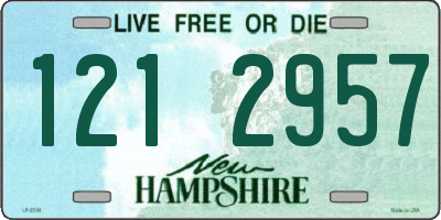 NH license plate 1212957