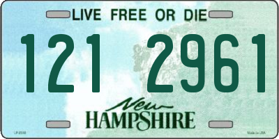NH license plate 1212961
