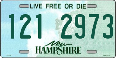 NH license plate 1212973