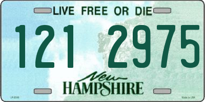 NH license plate 1212975