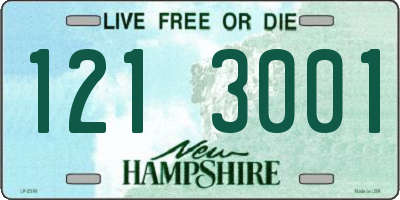 NH license plate 1213001