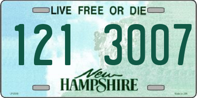 NH license plate 1213007
