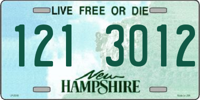 NH license plate 1213012