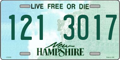 NH license plate 1213017
