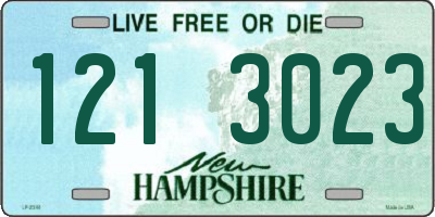 NH license plate 1213023