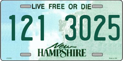 NH license plate 1213025