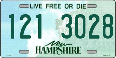 NH license plate 1213028
