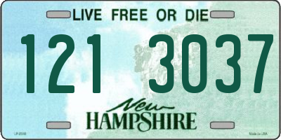 NH license plate 1213037