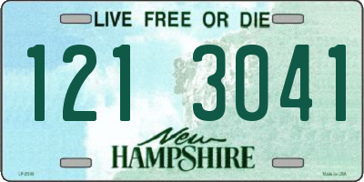 NH license plate 1213041