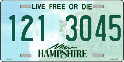 NH license plate 1213045