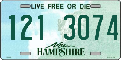 NH license plate 1213074