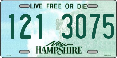 NH license plate 1213075