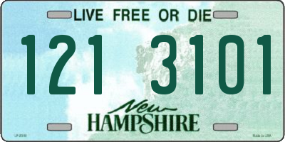 NH license plate 1213101