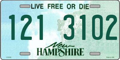NH license plate 1213102