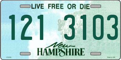 NH license plate 1213103