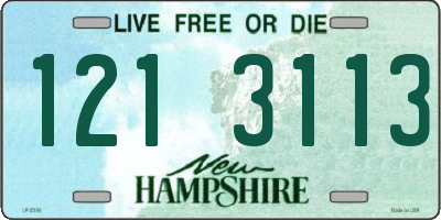 NH license plate 1213113