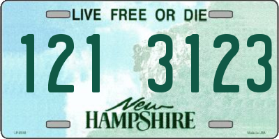 NH license plate 1213123
