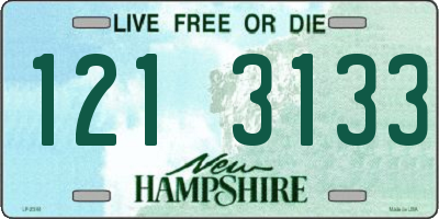 NH license plate 1213133