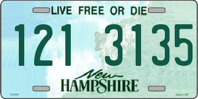 NH license plate 1213135