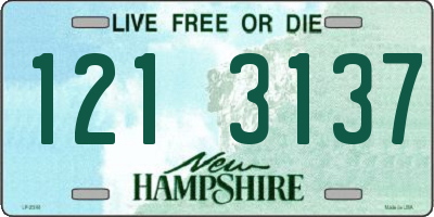 NH license plate 1213137