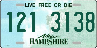 NH license plate 1213138