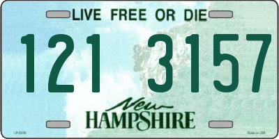 NH license plate 1213157