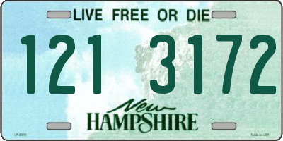 NH license plate 1213172