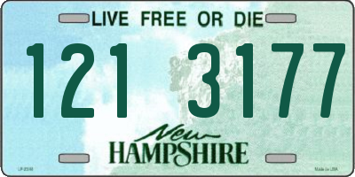 NH license plate 1213177