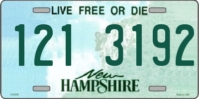 NH license plate 1213192