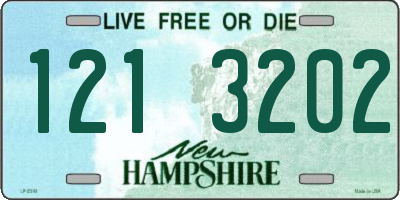 NH license plate 1213202