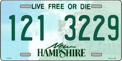 NH license plate 1213229