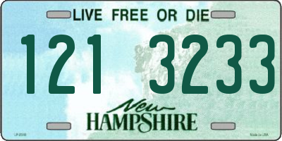 NH license plate 1213233