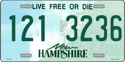 NH license plate 1213236