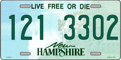 NH license plate 1213302