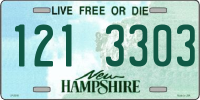 NH license plate 1213303