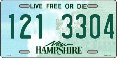 NH license plate 1213304
