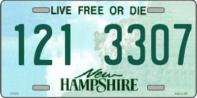 NH license plate 1213307