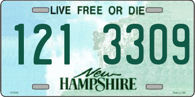 NH license plate 1213309
