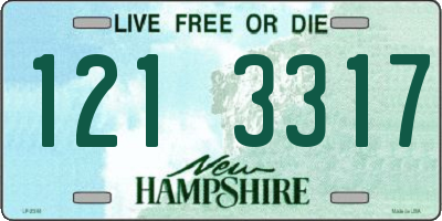 NH license plate 1213317