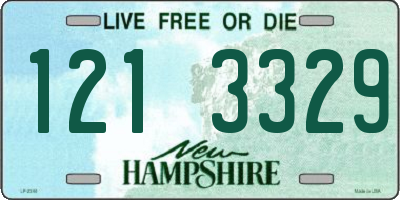 NH license plate 1213329