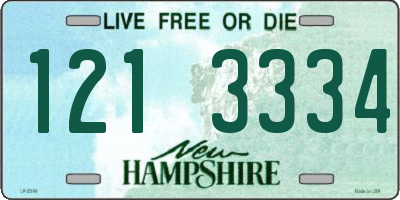 NH license plate 1213334