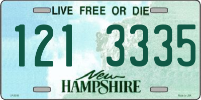 NH license plate 1213335