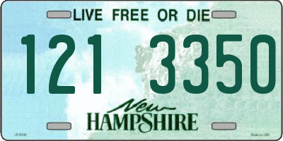 NH license plate 1213350