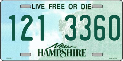 NH license plate 1213360